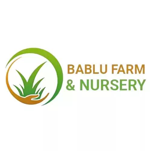 Natural Grass Dealers – Bablu Farm and Nursery