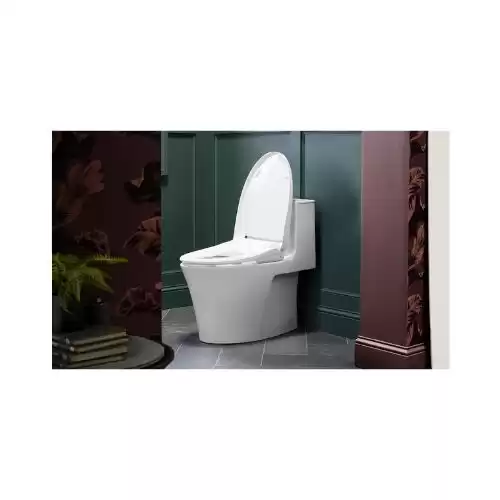 Toilet Bidet Combo for Sale