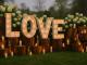 Elegant weddings tailored to perfection Celebrate Love in Style