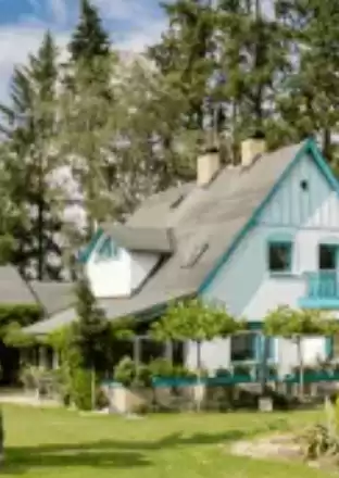 Tree Stump Grinding Service