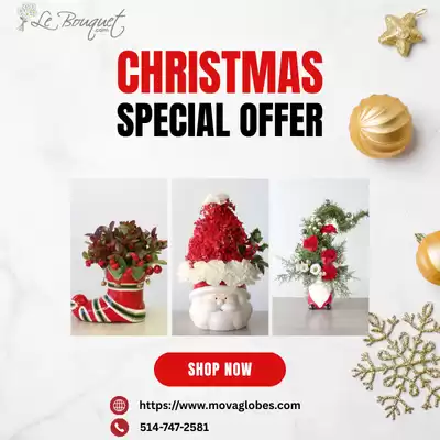 Christmas Flower Arrangements & Gifts - Flower Shop in Montreal