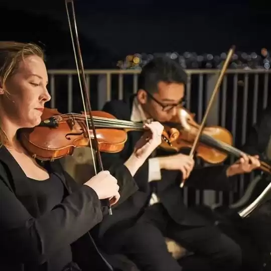 Elegant String Quartet Adelaide for Weddings, Events & Celebrations