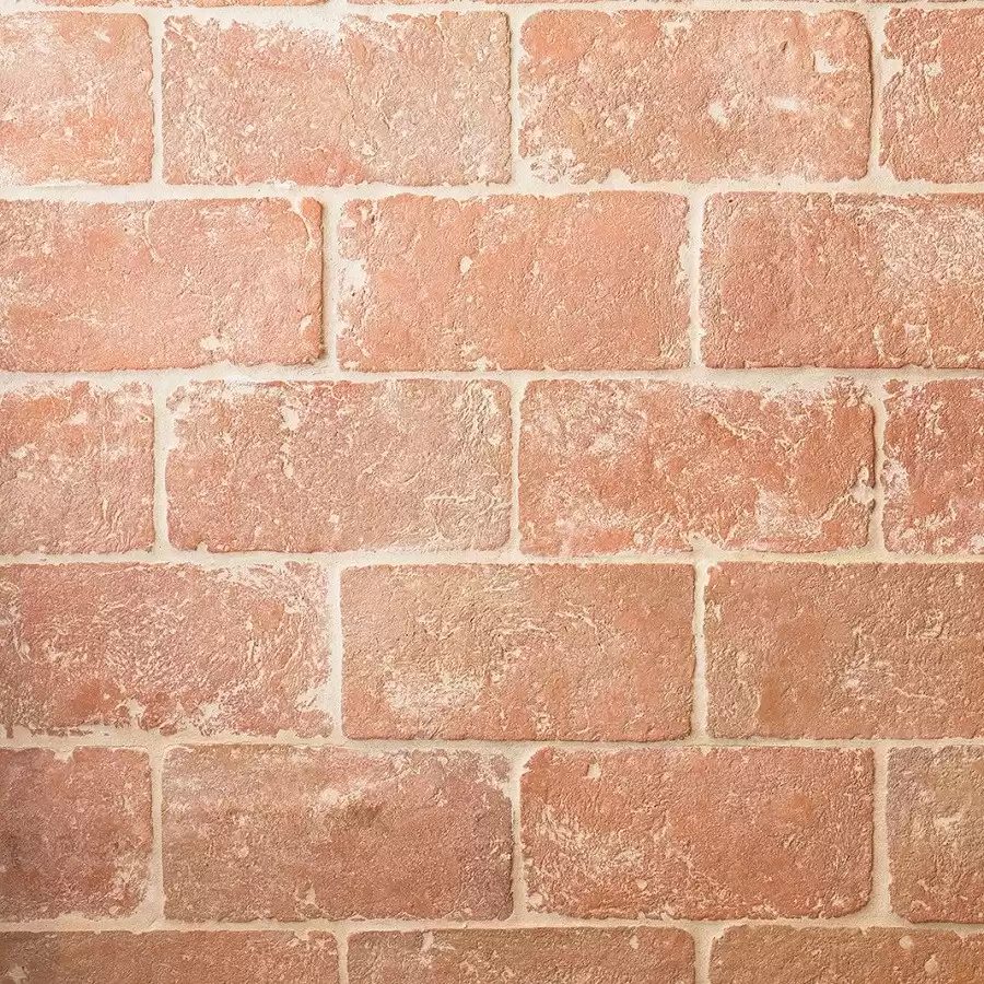 Terracotta Oblong 24×12 cm Floor & Wall Tiles