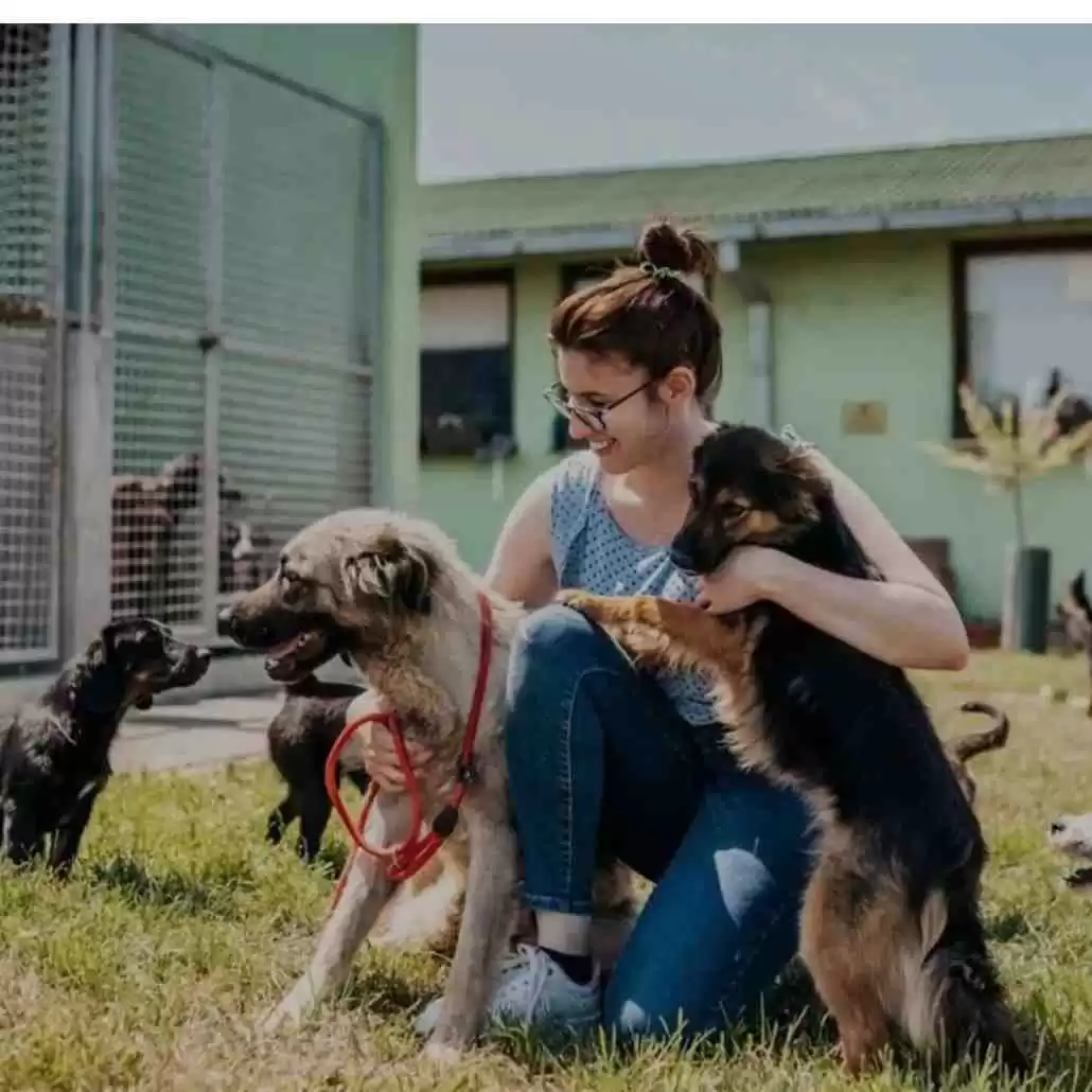 Dog Training Santa Maria