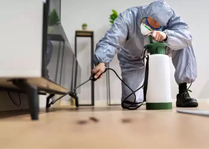 Pest inspection Lakewood Ranch