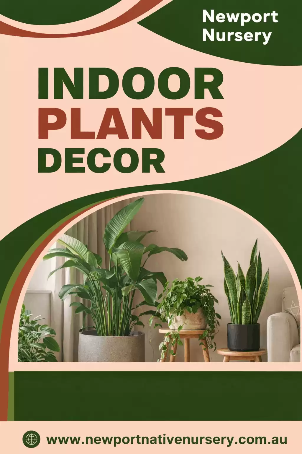 Indoor Plants Decor : Newport Lakes Native Nursery
