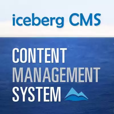 Saas Application Development Services Company