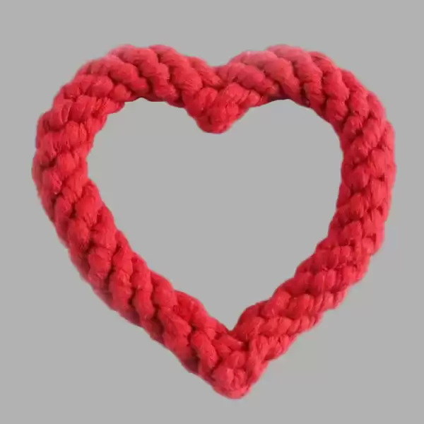 Valentine’s Red Dog Rope Toy - Fun, Tough & Perfect Gift