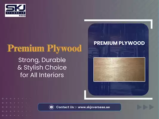 Smart Choice for Interior Construction