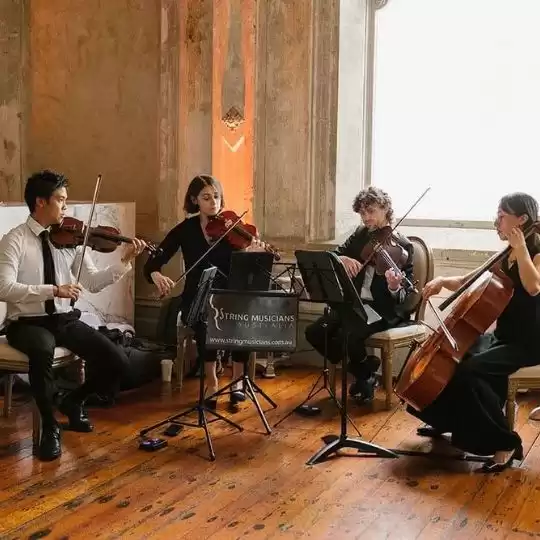 Professional String Quartet Adelaide | String Musicians Australia