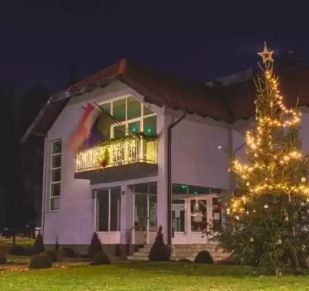 Stunning Christmas Light Installation in Jacksonville