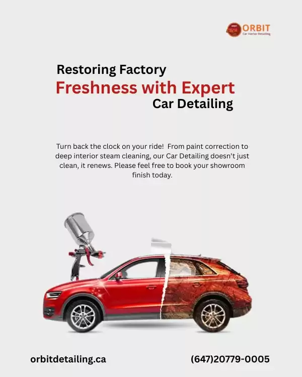 Car Detailing That Restores Factory Freshness and Shine