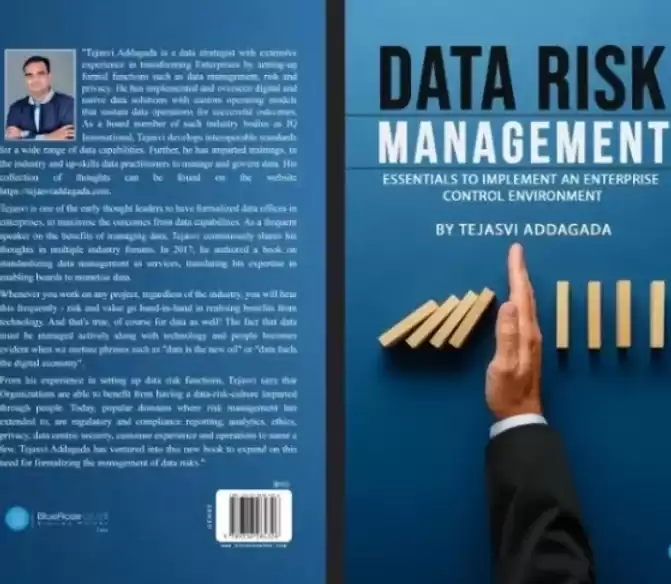 Data Risk Management Services