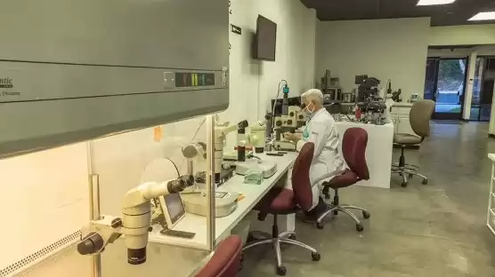 Embryologist Certification & Training By World Embryology Skills and Training