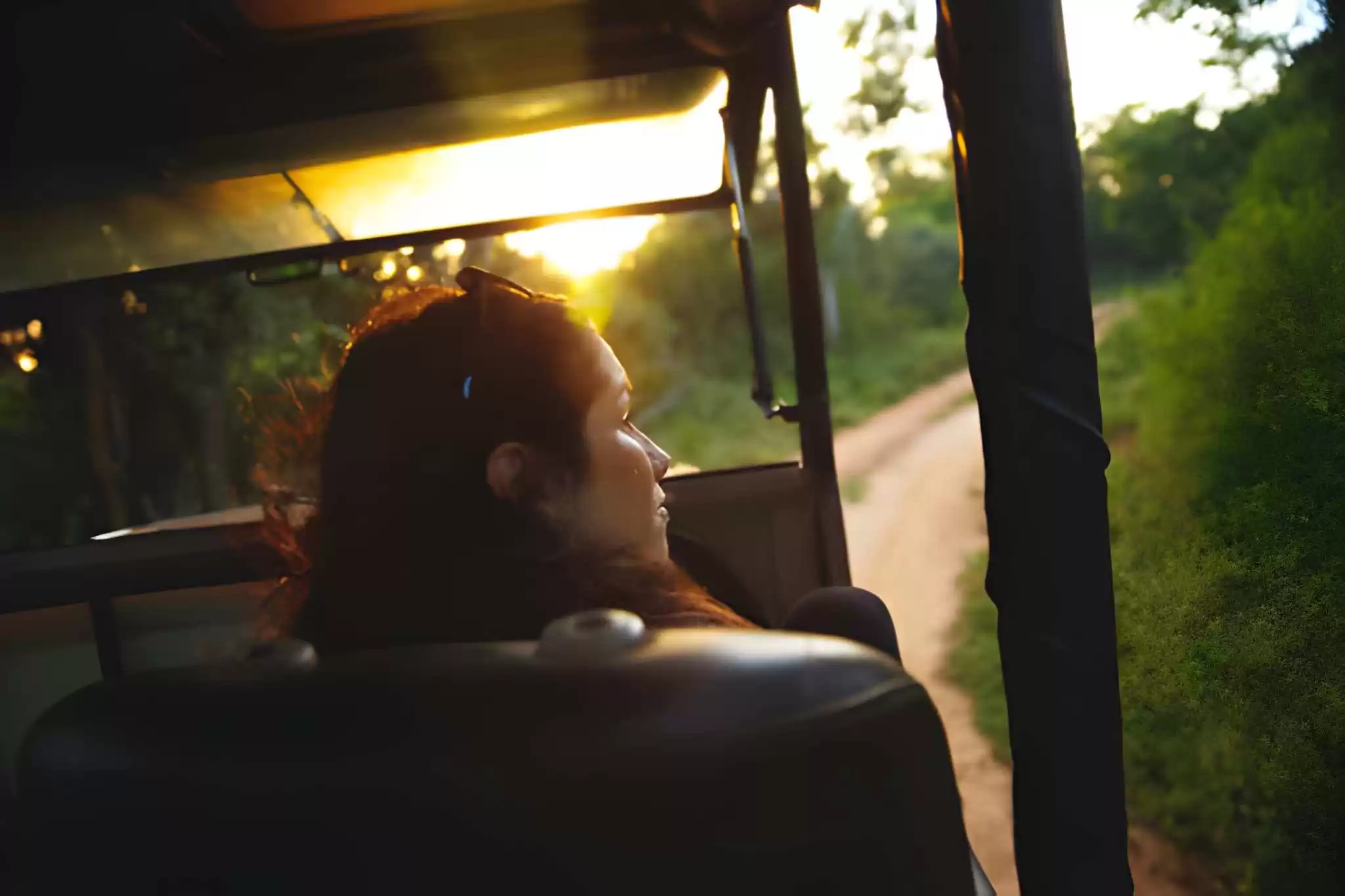 India Luxury Wildlife Tours