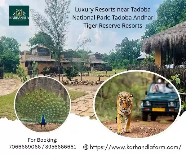 Karhandla Wildlife Luxuries: Tadoba Andhari Tiger Reserve Resorts