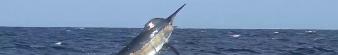 All-Inclusive Kayak Fishing Packages in Los Buzos Panama