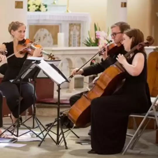 String quartet Adelaide | String Musicians Australia