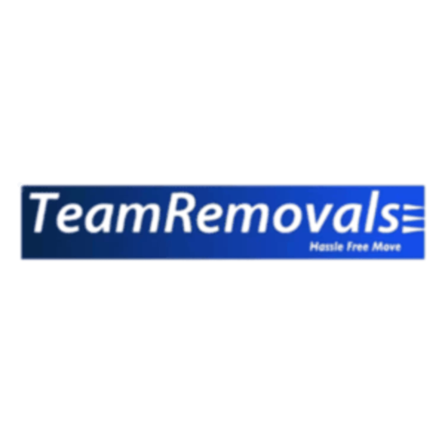 Man with a Van Dunedin – Affordable & Reliable Moving Service