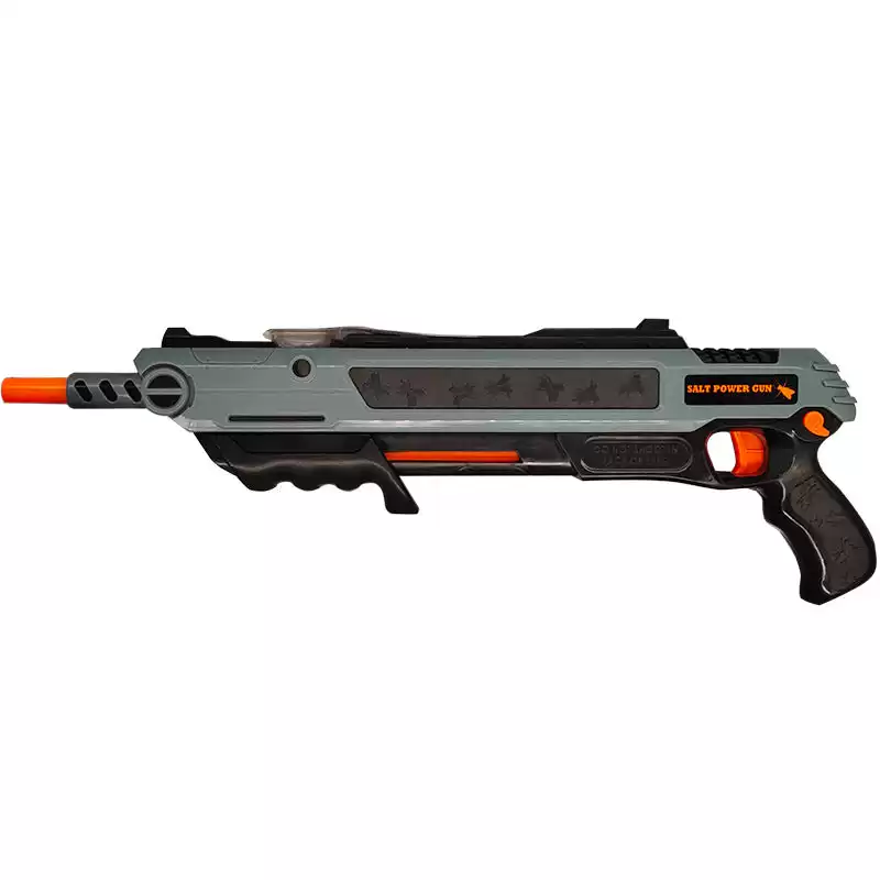 Need Effective Fly Killing Salt Gun for Your Home?