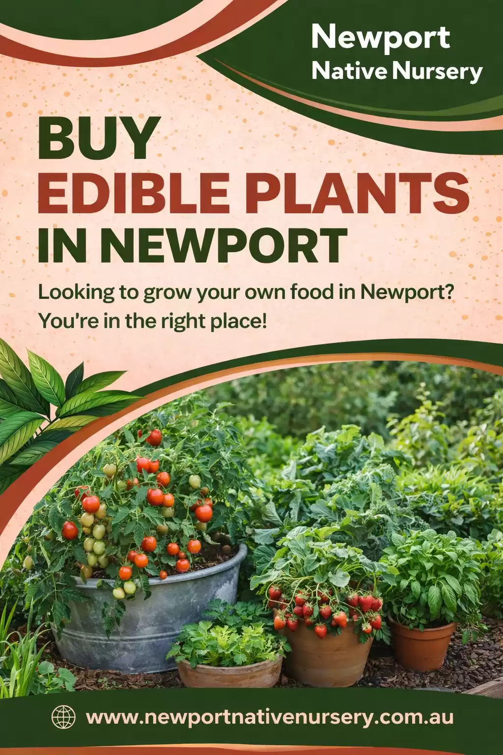 Buy Edible Plants in Newport -Newport Native Nursery
