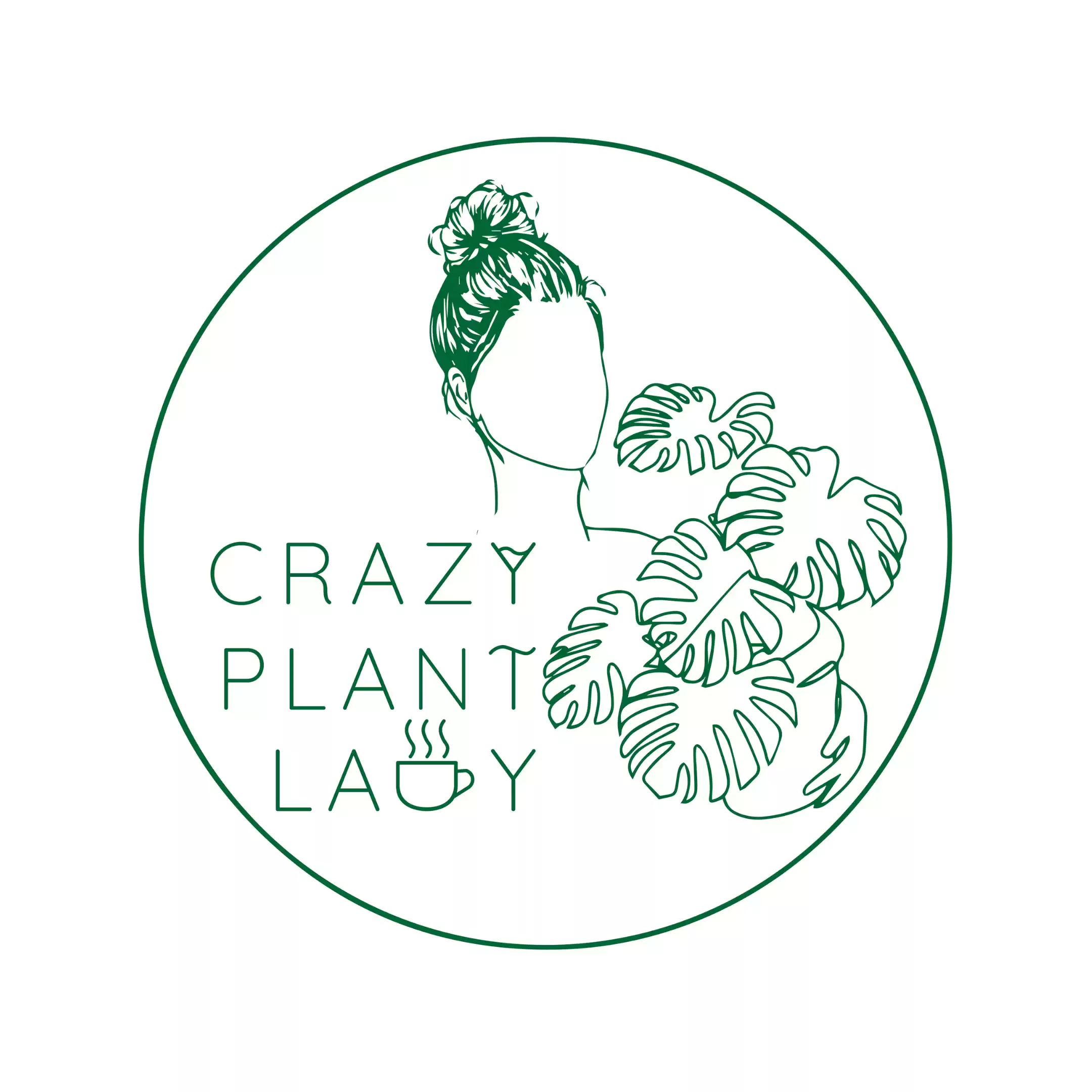 Sustainable Cafe in Ahmedabad | Crazy Plant Lady Cafe