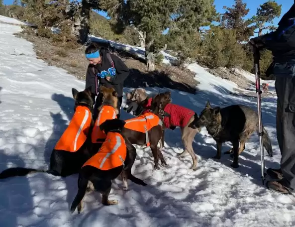 Exploring the Outdoors Together