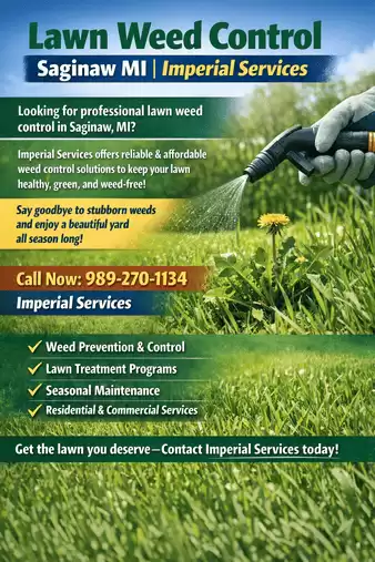 Lawn Weed Control Saginaw MI | Imperial Services