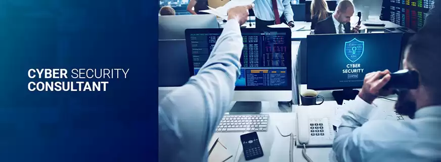 Personal Cyber Protection Services USA | Constellation Cyber Consultancy