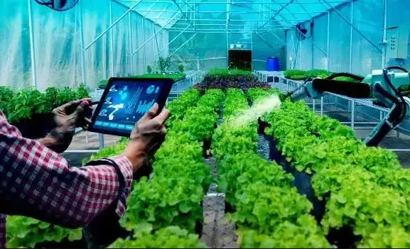 Find Best Nursery Business Software & Greenhouse ERP Here