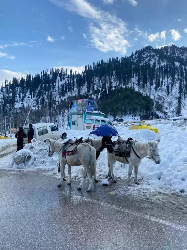 Complete Manali Tour Package