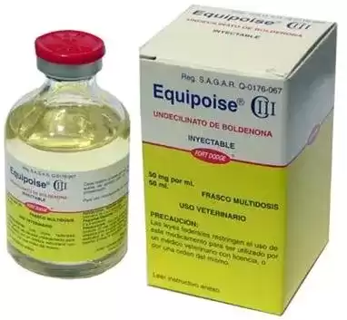 How Equipoise (Boldenone) Works in Bodybuilding
