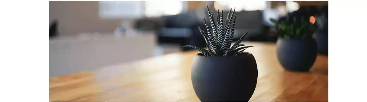 Cognitive Behavioral Therapy Techniques for Anxiety Relief