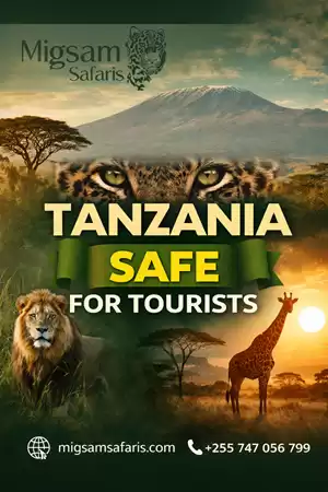 Tanzania Safe for Tourists – Travel with Confidence