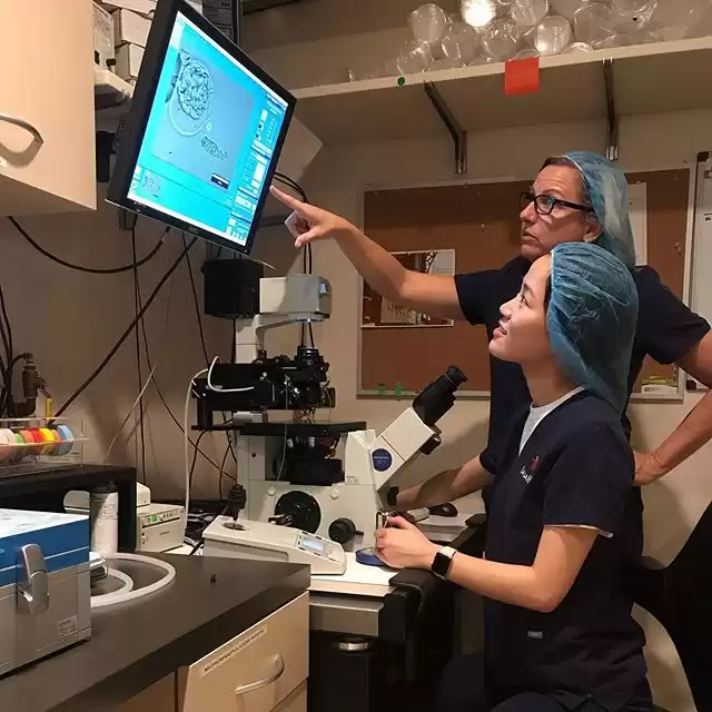 World Embryology Skills and Training: Embryologist Education for Core Learning