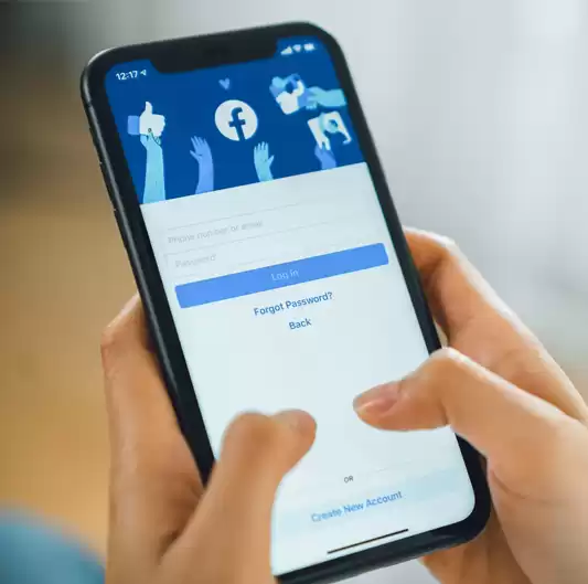 Facebook Advertising Services in Noida