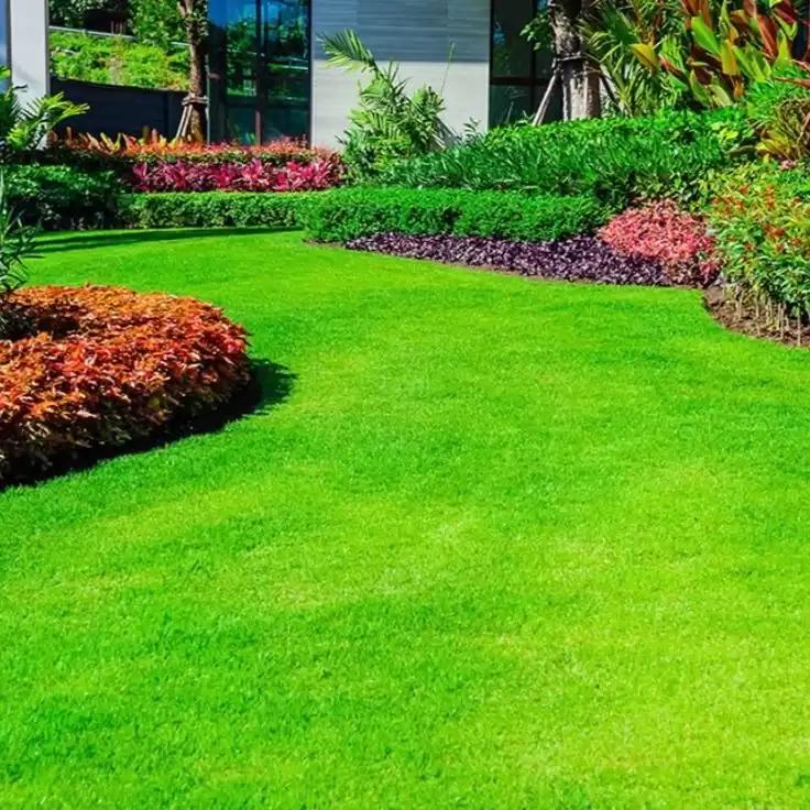 Natural Grass Distributor in Delhi for Fresh and Lush Green Spaces