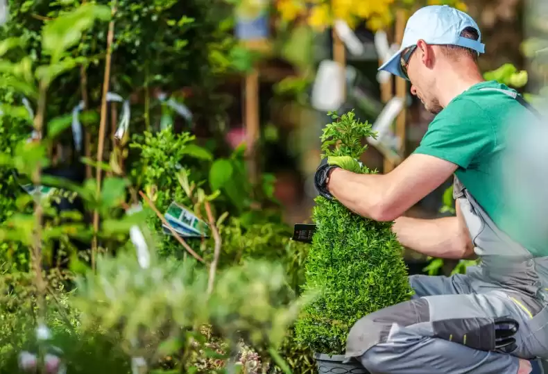 Gardner In Morgan Hill