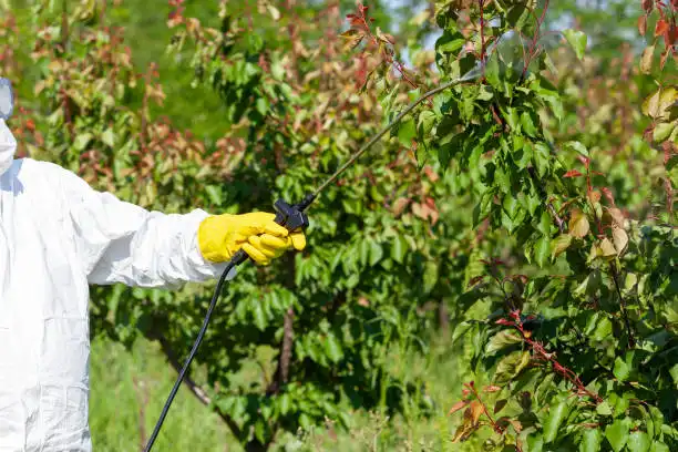 Arboricultural Disease Control Specialists 