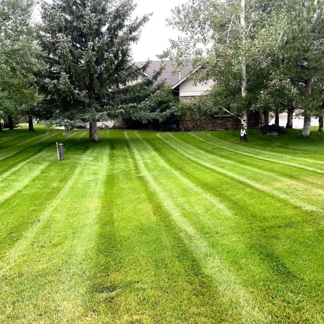 Commercial Lawn Care Bozeman