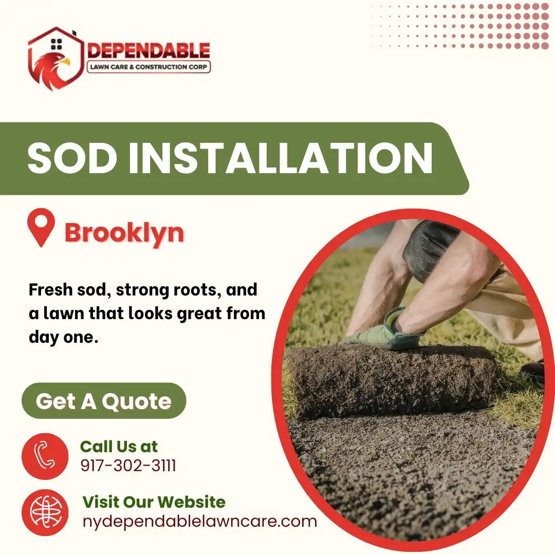 Sod Installation Service in Brooklyn
