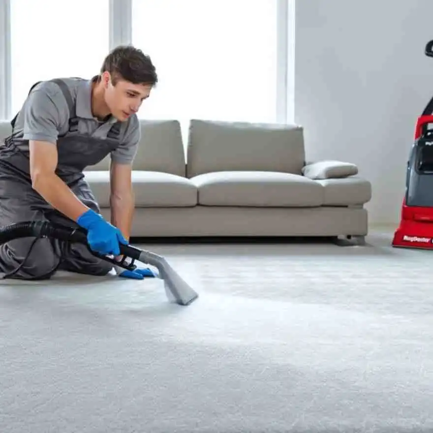Carpet Cleaning In Santa Monica