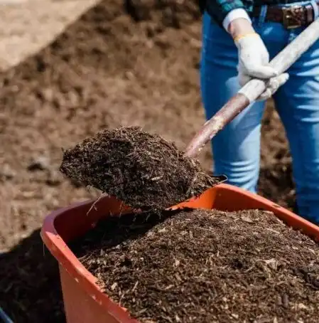 Premium Mulch in Jacksonville, FL for Landscapes