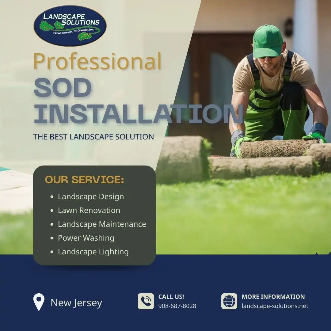 Sod Installation in New Jersey