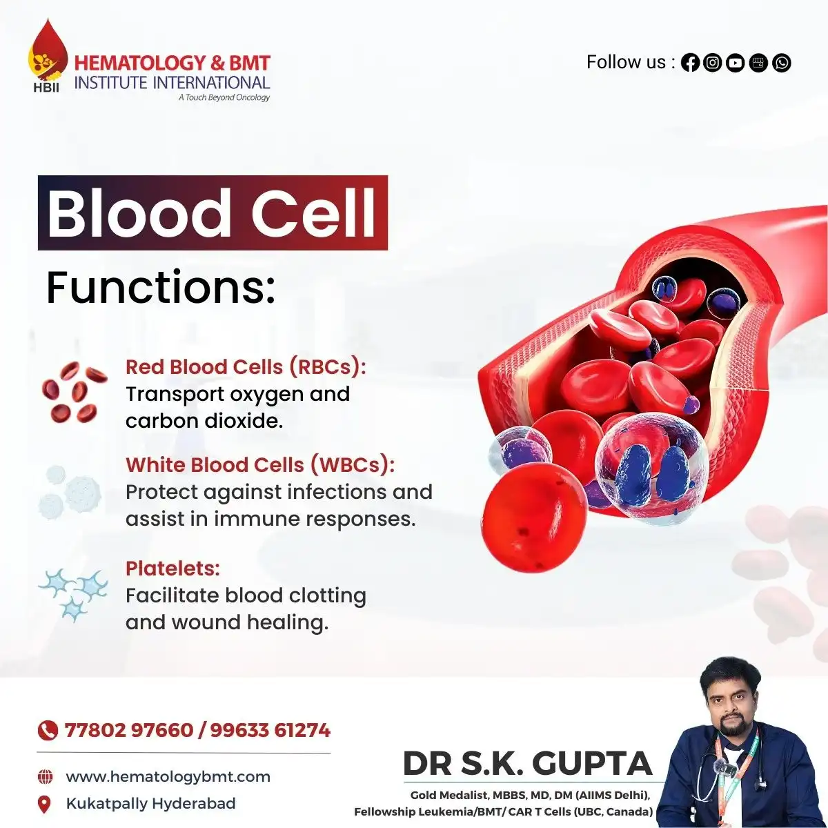 Red Blood Cells – Importance, Function, and Disorders by Dr. S K Guptha