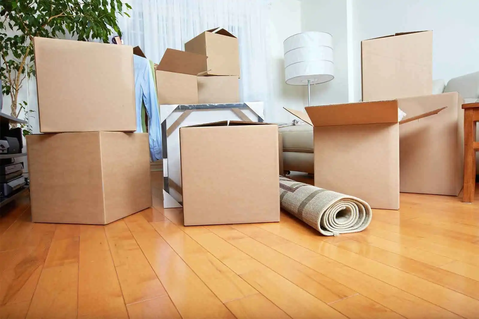 Removalists Sydney to Gold Coast – Stress-Free Moving