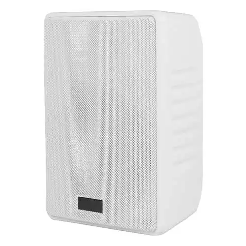 Suspended Ceiling Speakers | Apex American Audio