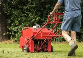 Lawn Aerator Services