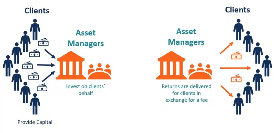 Still Using Spreadsheets? Try Asset Management Software India Today