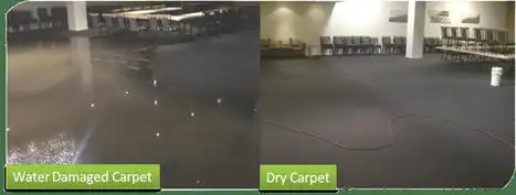 Best Flooded Carpet Drying Services Fast Water Damage Recovery